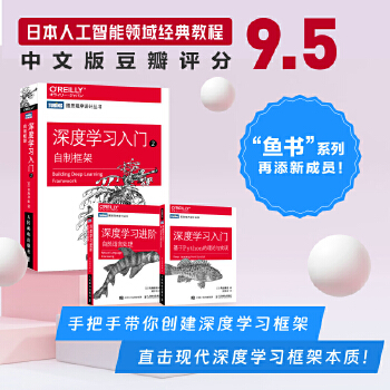 《 深度学习入门2：自制框架》[81M]百度网盘|pdf下载|亲测有效