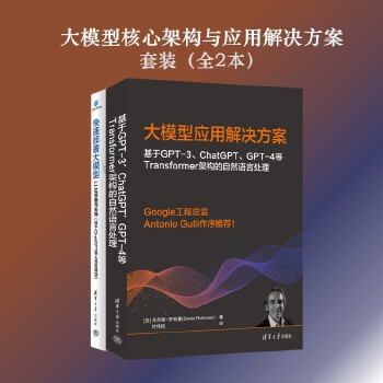 《 大模型核心架构与应用解决方案（套装全2本）》[55M]百度网盘|pdf下载|亲测有效