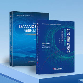 《 DAMA数据管理知识体系指南+穿越数据的迷宫（套装共2册）》[90]百度网盘|亲测有效|pdf下载