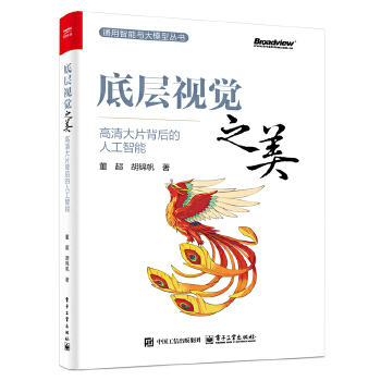 《 底层视觉之美：高清大片背后的人工智能》[94]百度网盘|亲测有效|pdf下载